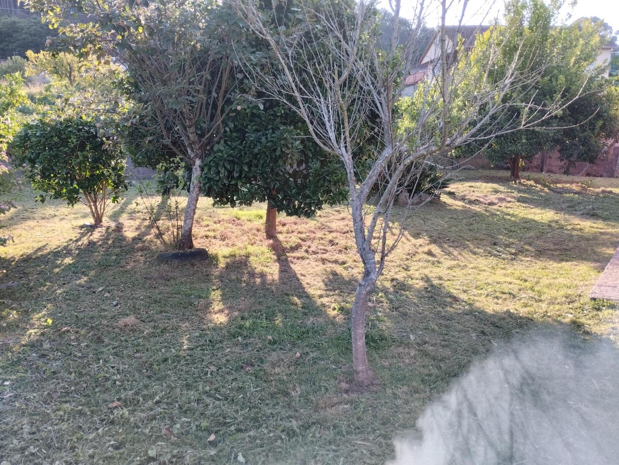 Casa De Valeria Villa Tomino Bagian luar foto